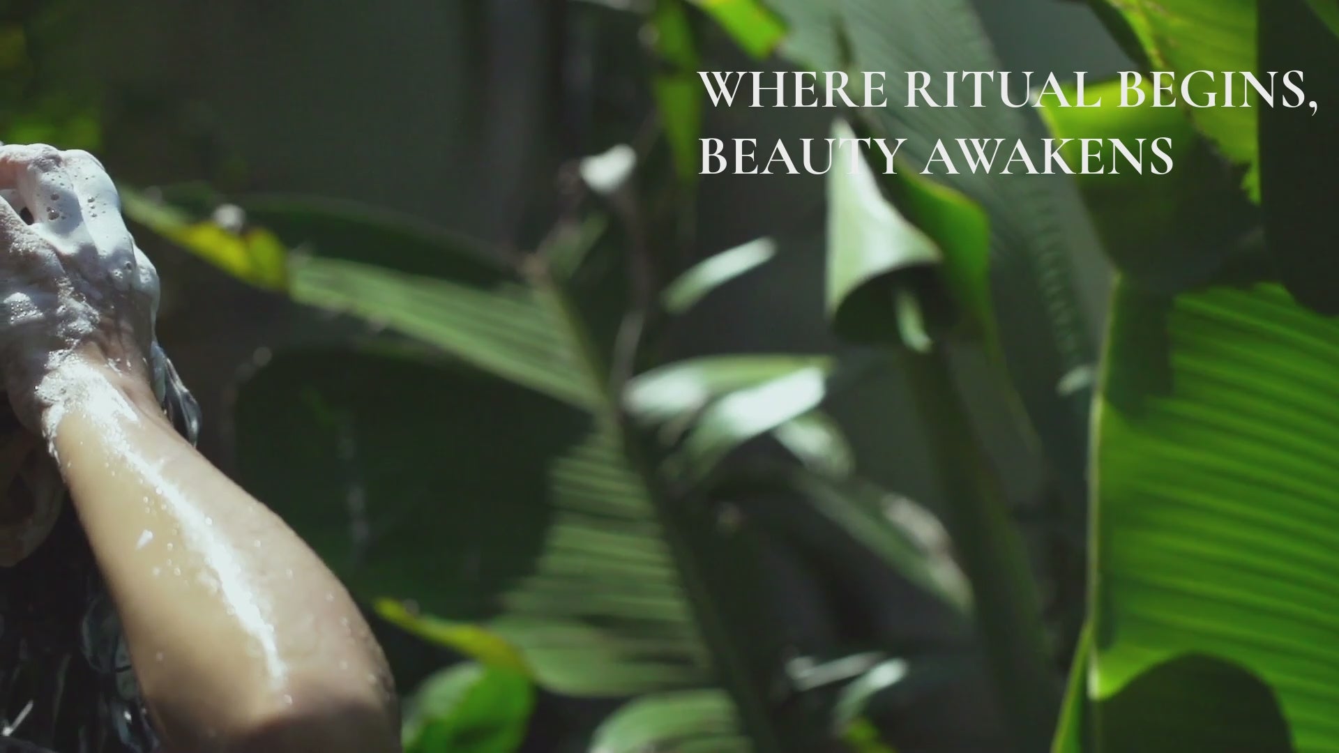 Load video: Botanical hair rituals rooted in nature